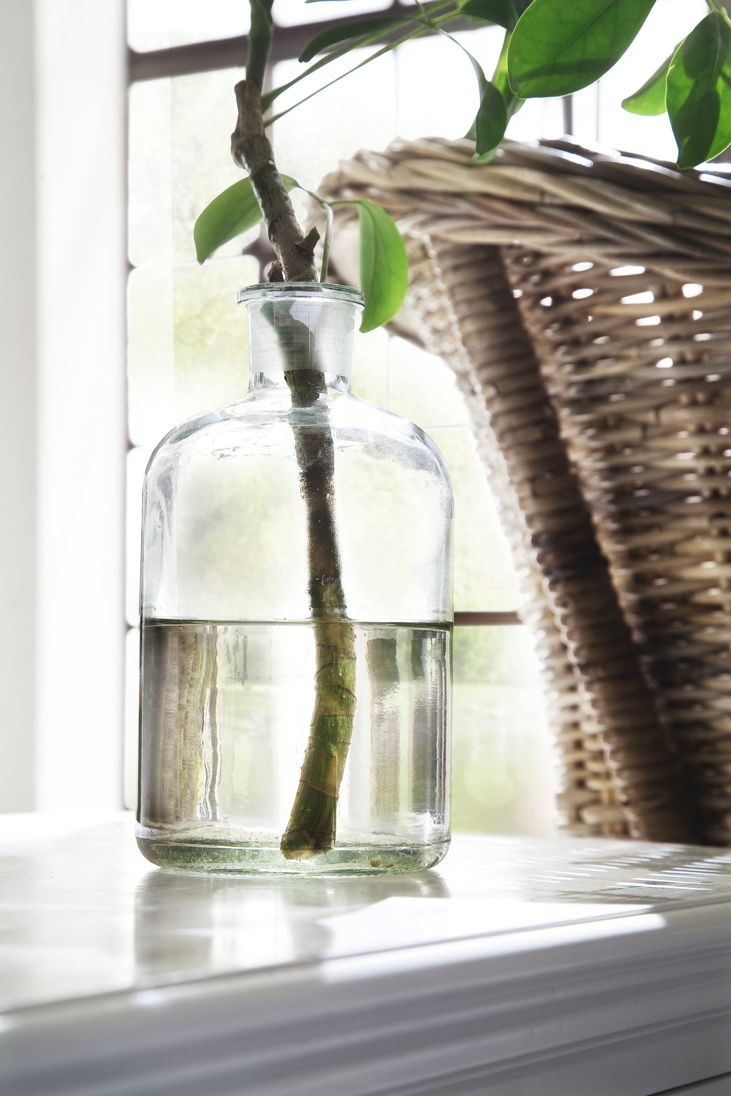 47" Classic White Entertainment Unit with Two Drawers By Homeroots | TV Stands | Modishstore - 9