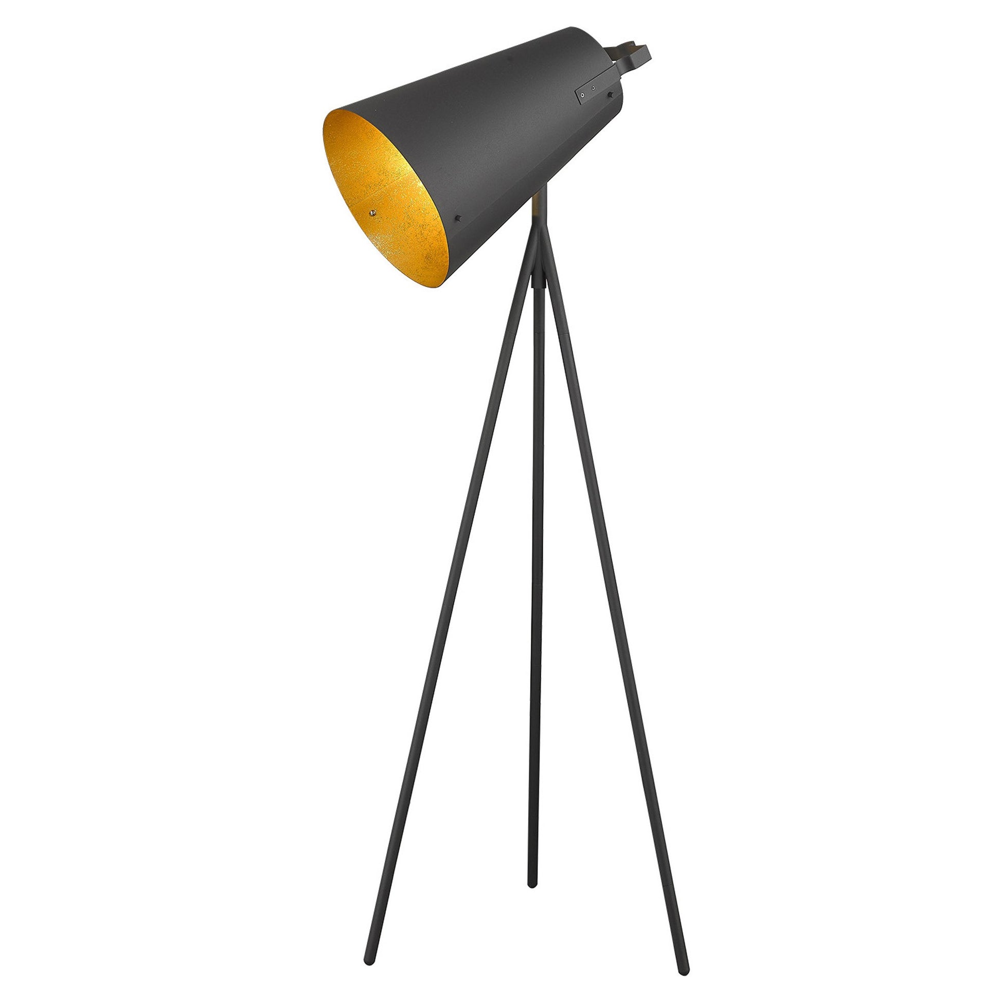 Faza 1-Light Matte Black Floor Lamp By Homeroots | Floor Lamps | Modishstore - 2