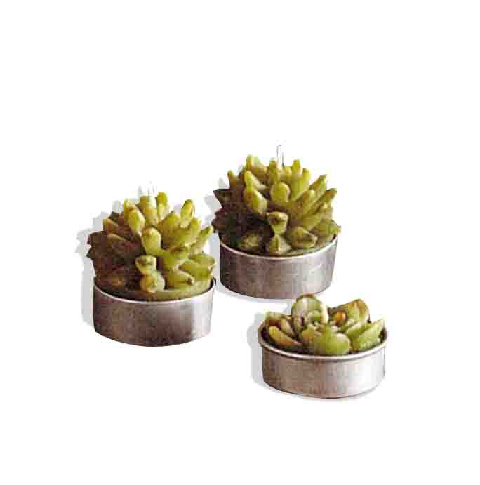 Roost Succulent Tealights-12