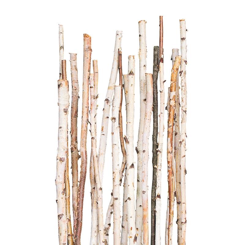 Birch Poles, Natural, 6'x 1-2" By Gold Leaf Design Group- set of 12 | Decor | Modishstore