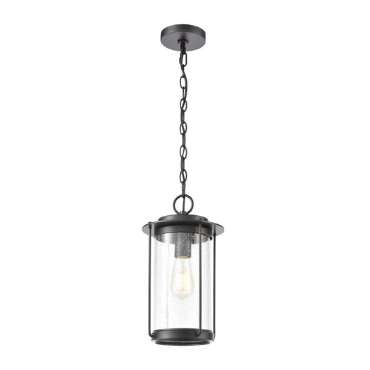 Devonshire 1-Light Hanging in Matte Black with Seedy Glass ELK Lighting | Lightbulbs | Modishstore