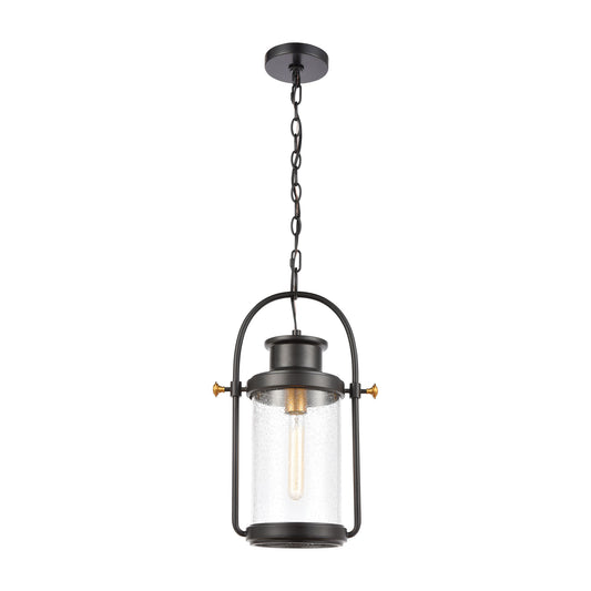 Wexford 1-Light Hanging in Matte Black with Seedy Glass ELK Lighting | Lightbulbs | Modishstore