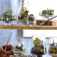 Roost Modern Glass Angle Footed Terrariums-5
