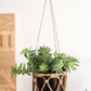 Boca Metal Hanging Pot in Rattan Basket -Set Of 2 By Accent Decor | Planters, Troughs & Cachepots | Modishstore
