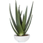 Uttermost Evarado Aloe Planter | Modishstore | Planters, Troughs & Cachepots-2