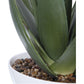 Uttermost Evarado Aloe Planter | Modishstore | Planters, Troughs & Cachepots-3