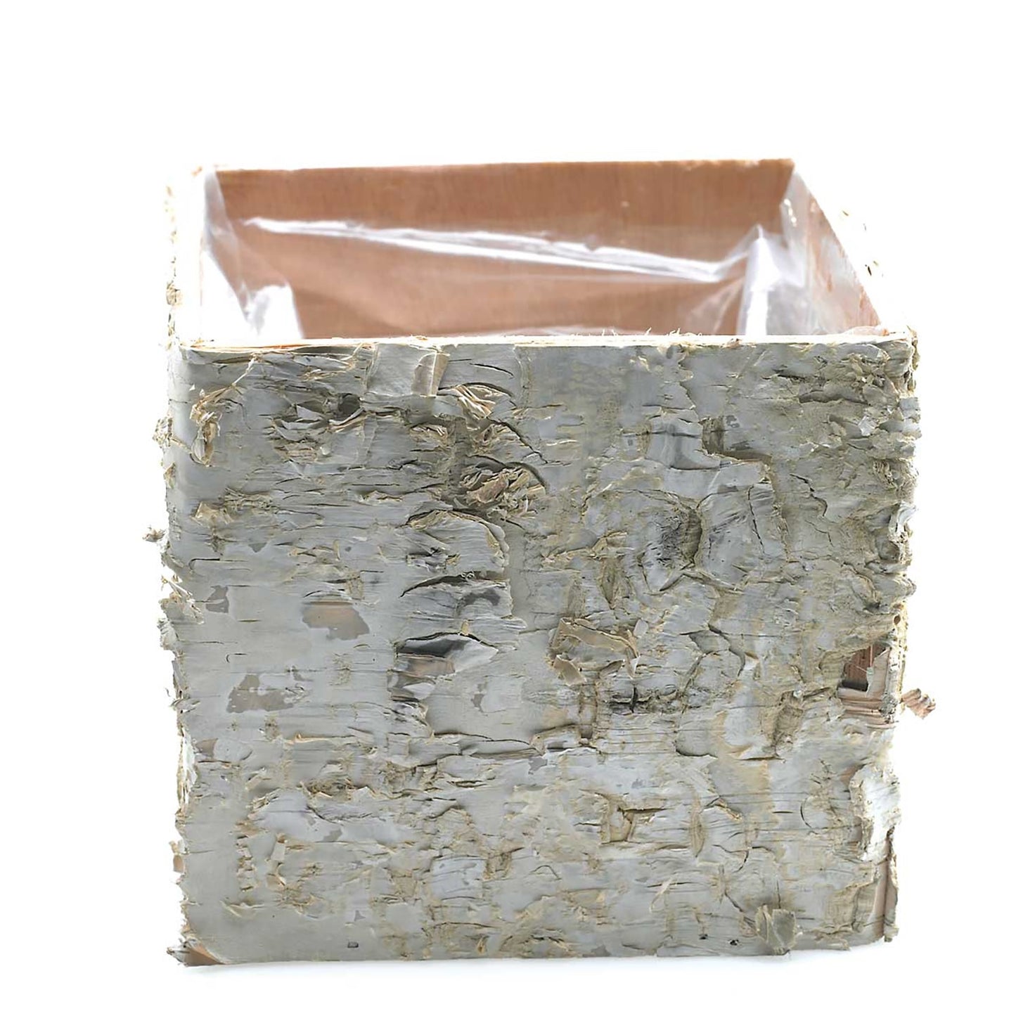 Birch Square Pots Set Of 4 By Accent Decor | Planters, Troughs & Cachepots | Modishstore - 2