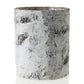 White Birch Cylinder and Bowl S/2 By Accent Decor | Planters, Troughs & Cachepots | Modishstore - 7