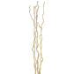 Kuwa Branch 5-6'L bleached Set Of 15 By Gold Leaf Design Group | Botanicals |  Modishstore - 4