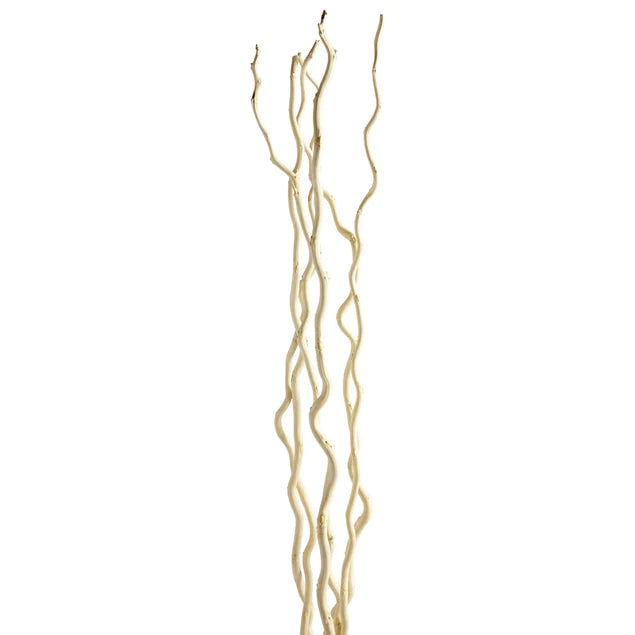 Kuwa Branch 5-6'L bleached Set Of 15 By Gold Leaf Design Group | Botanicals | Modishstore - 4