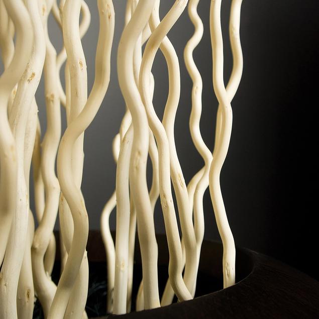 Gold Leaf Design Group Bleached Kuwa in Rectangle Planter | Artificial Flora | Modishstore - 3