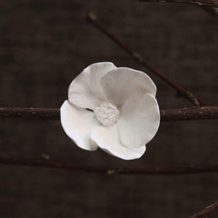 Bone China Dogwood Flower - White - Set Of 4 By HomArt