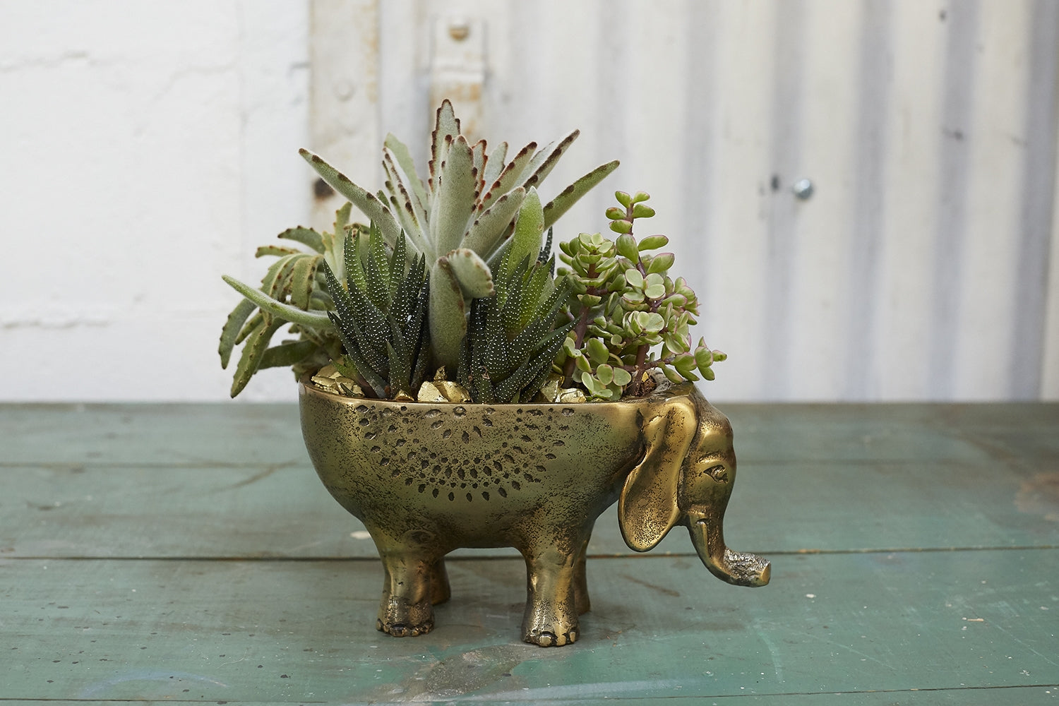 tesco plants in pots Ezzie Elephant Pot Set Of 2 By Accent Decor - Yellow - Metal