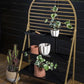 Draco Collection Plant Shelf By Accent Decor | Shelves & Shelving Units | Modishstore