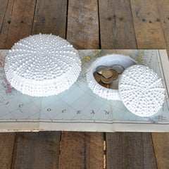 Urchin Ceramic Box - White - Set Of 3 By HomArt