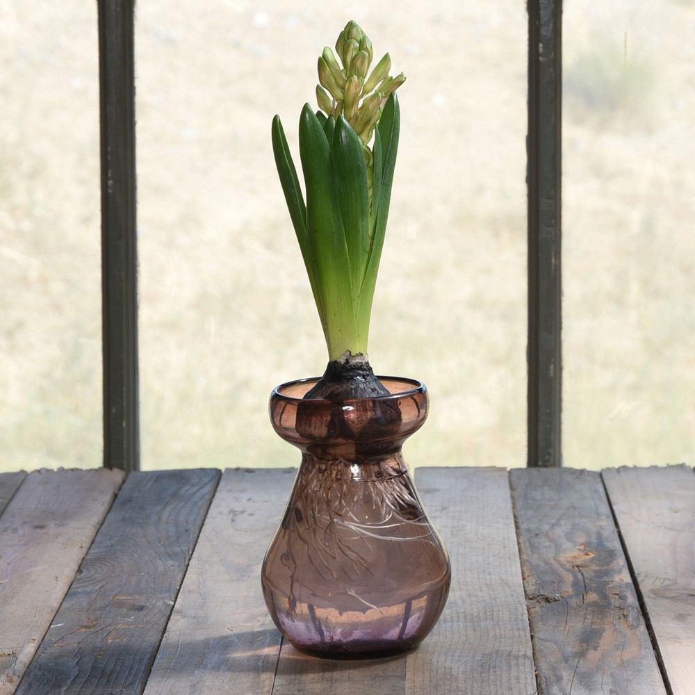 HomArt Bulb Vase - Recycled - Set of 6-13