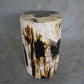 Petrified Wood Log Stool 16in (h) x 12in x 10in - 930.22 | Petrified Wood Stools | Modishstore-3