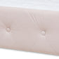 Baxton Studio Amaya Modern and Contemporary Light Pink Velvet Fabric Upholstered Queen Size Daybed with Trundle | Daybeds | Modishstore - 6