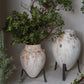 Tuscan Plant Stand By Accent Decor | Planters, Troughs & Cachepots | Modishstore