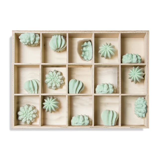 Shadow Box w/Cactus Wall Play, By Gold Leaf Design Group | Wall Art | Modishstore - 3