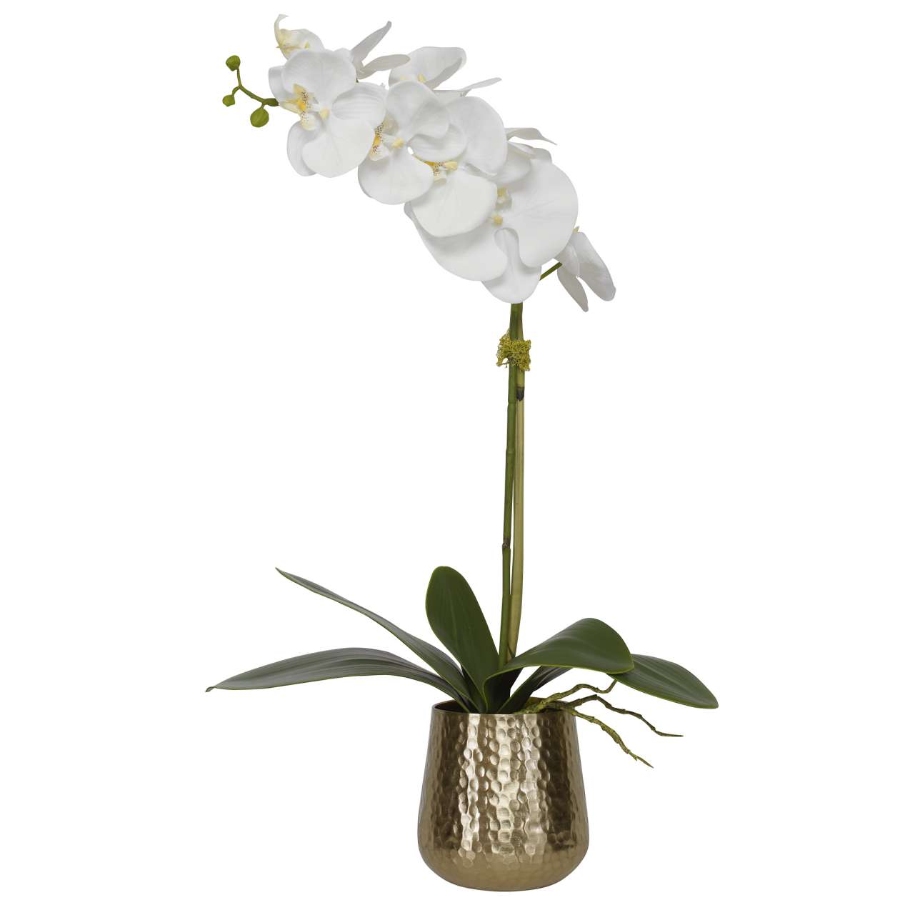 Uttermost Cami Orchid With Brass Pot | Planters, Troughs & Cachepots | Modishstore - 2