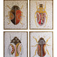 Oil Painting \ Beetles Set Of 4 By Kalalou | Modishstore | Wall Art