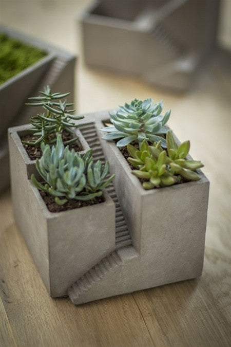 concrete pots for plants Vagabond Vintage Cement Triple Architectural Planter