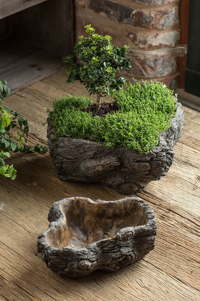 cement planter pots Vagabond Vintage Cement Planter,Burled Bark