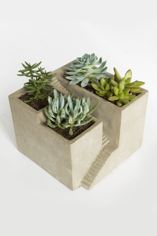 Vagabond Vintage Cement Planter,Architectural Plant Cube III - Set of 2 | Modishstore | Planters, Troughs & Cachepots-2