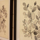 Framed Black Leaves Prints W Glass Set Of 2 By Kalalou | Wall Decor |  Modishstore  - 3