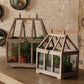 Kalalou Wood And Glass Terrariums - Set Of 2 | Modishstore | Glass Terrariums