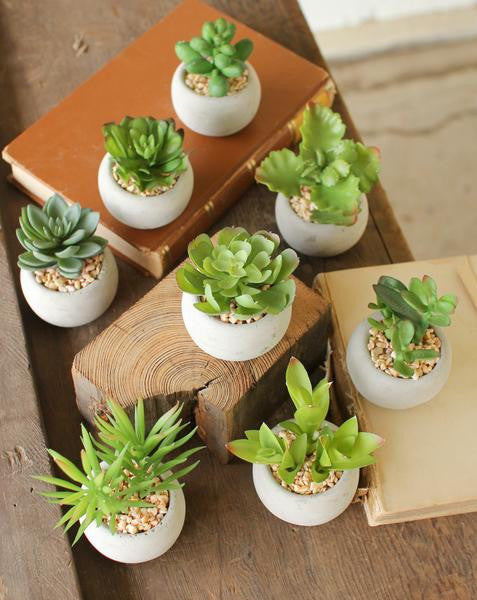 succulent pot set Kalalou Set Of 8 Small Succulents With Round Grey Pot