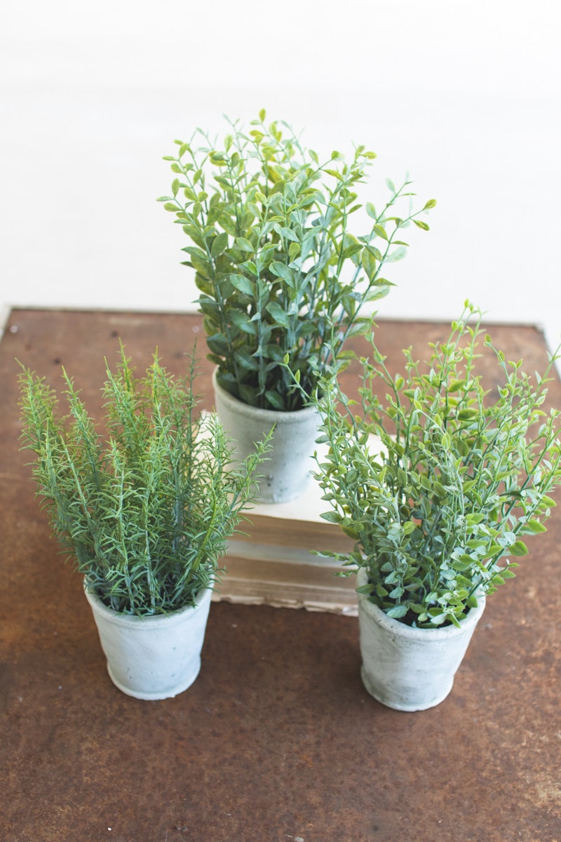 Artificial Herbs In Cement Pots by Kalalou | Modishstore | Planters, Troughs & Cachepots