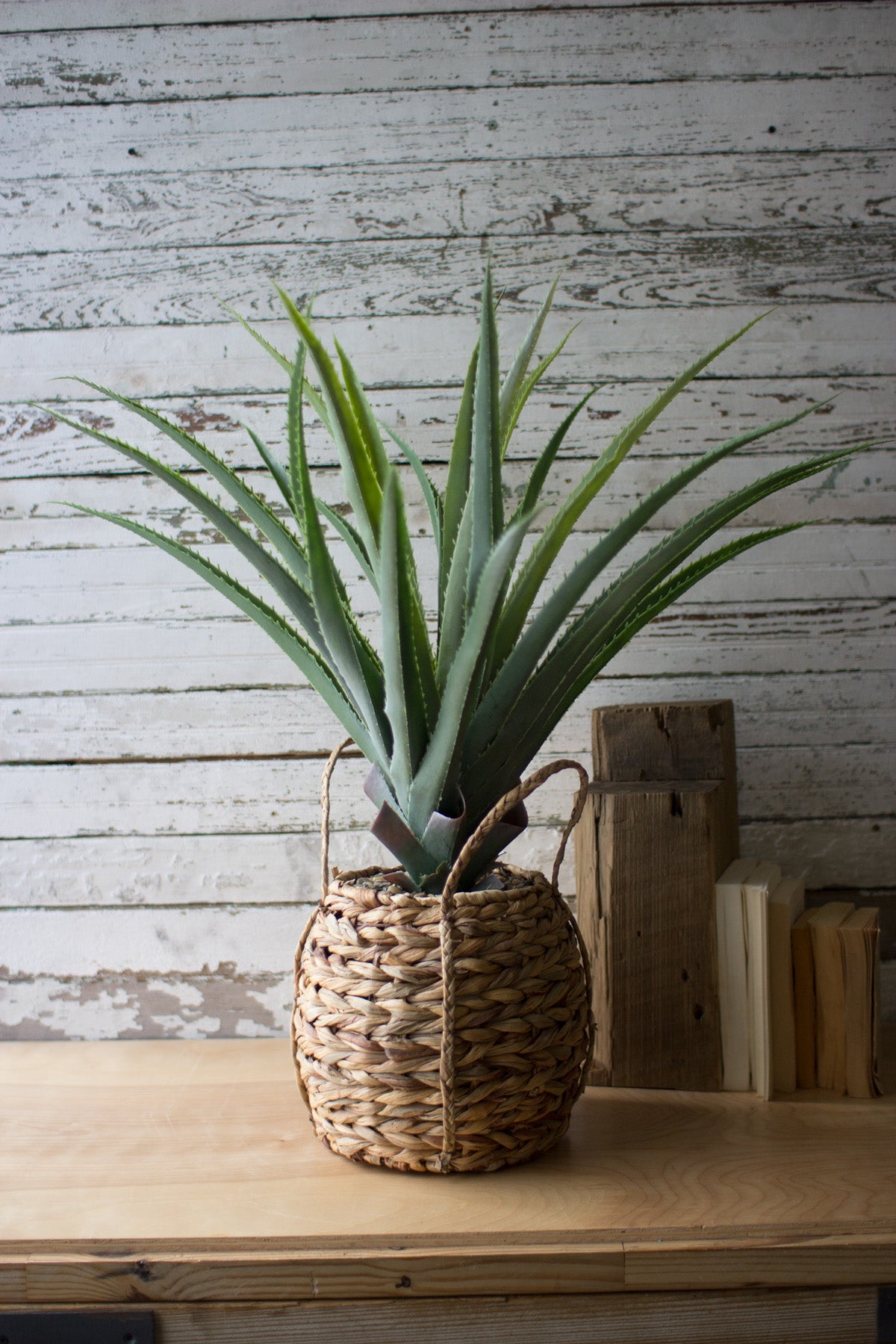 Kalalou Artificial Aloe In A Woven Pot | Modishstore | Botanicals