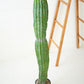 Artificial Single Trunk Cactus In A Plastic Pot By Kalalou | Planters, Troughs & Cachepots |  Modishstore 