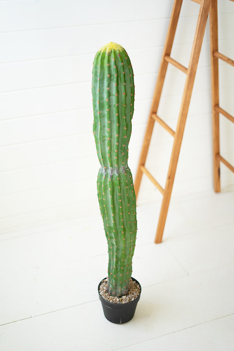 Artificial Single Trunk Cactus In A Plastic Pot By Kalalou | Planters, Troughs & Cachepots |  Modishstore  - 2