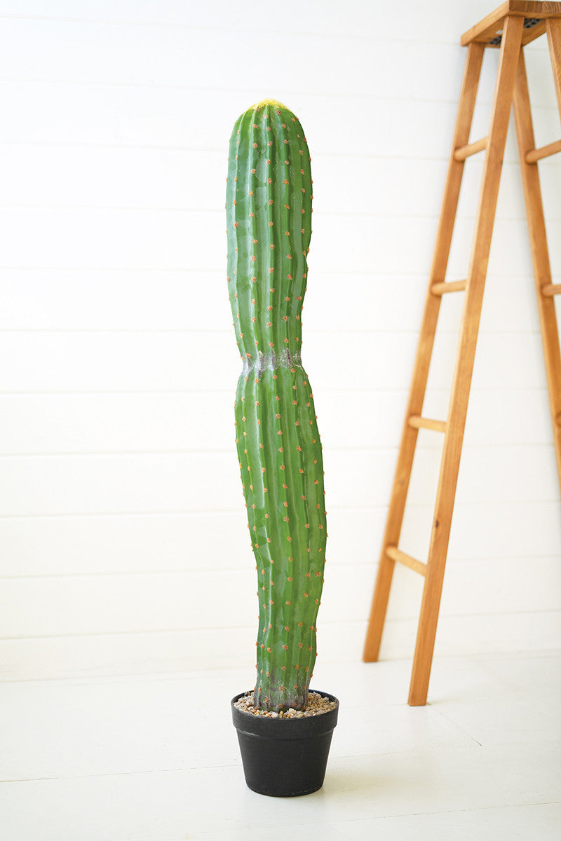 Artificial Single Trunk Cactus In A Plastic Pot By Kalalou | Planters, Troughs & Cachepots |  Modishstore  - 3
