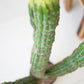 Artificial Multi Trunk Cactus In A Plastic Pot By Kalalou |  Planters, Troughs & Cachepots | Modishstore | CNL1321 - 2