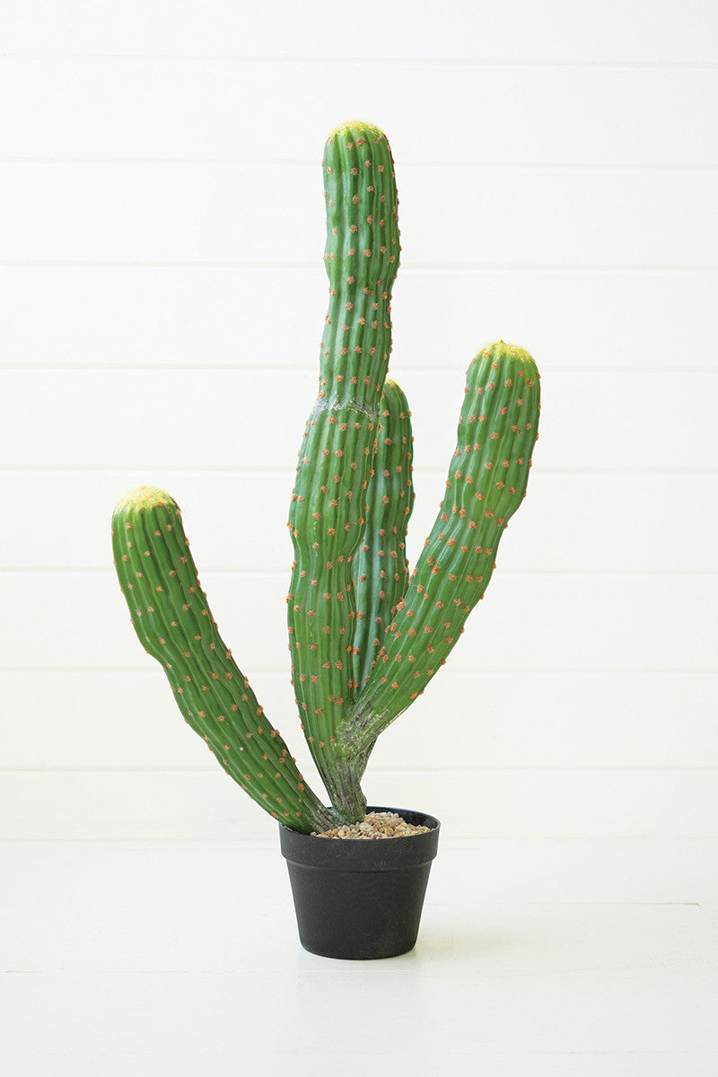 Artificial Multi Trunk Cactus In A Plastic Pot By Kalalou |  Planters, Troughs & Cachepots | Modishstore | CNL1321 - 3