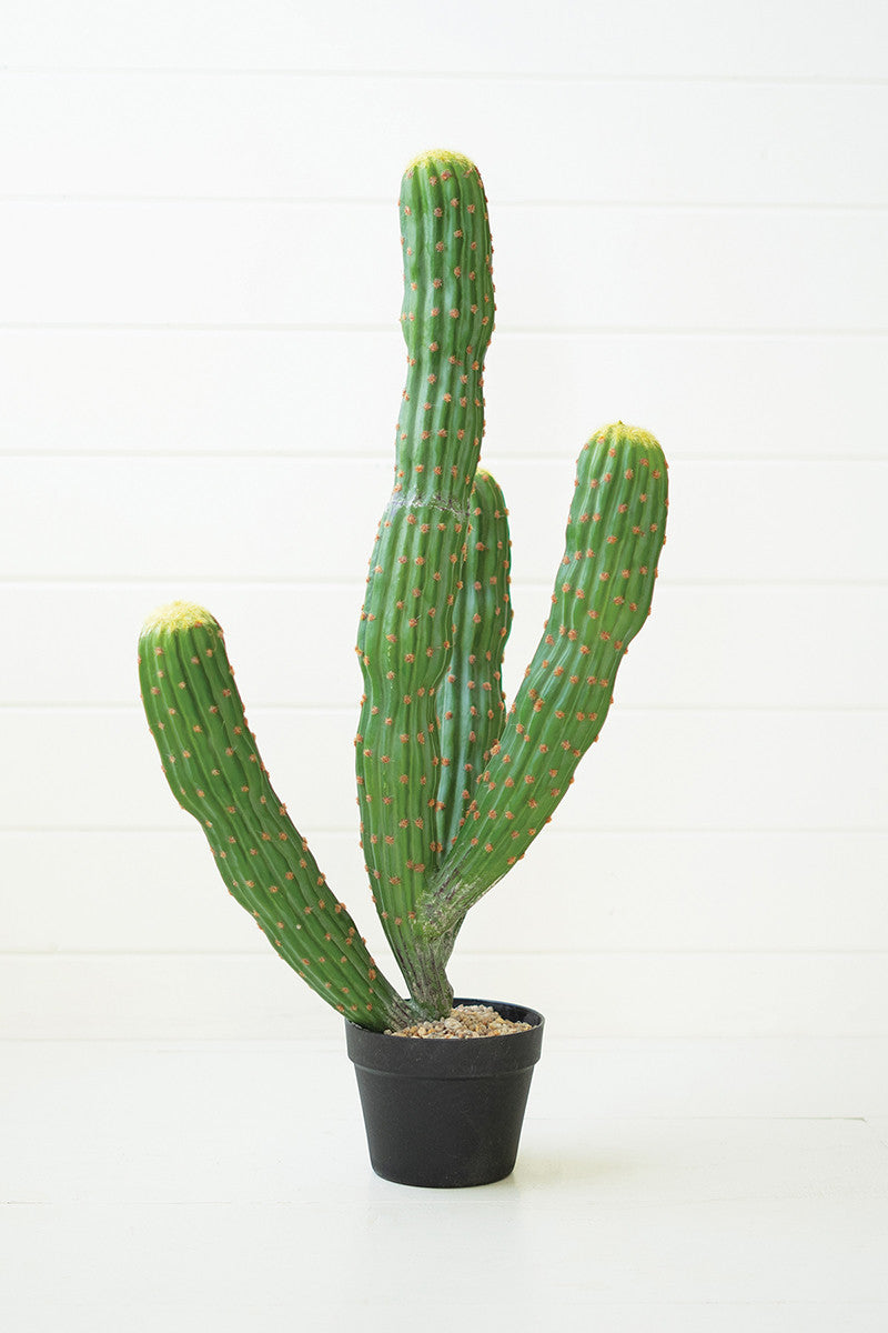 Artificial Multi Trunk Cactus In A Plastic Pot By Kalalou | Planters, Troughs & Cachepots | Modishstore | CNL1321 - 3