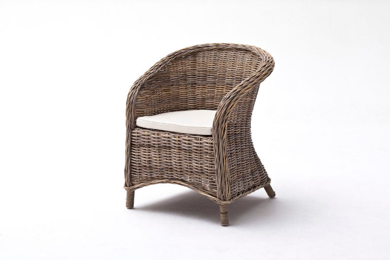 Bonsun Armchair (Set of 2) By Novasolo - CR08 | Dining Chairs | Modishstore - 5