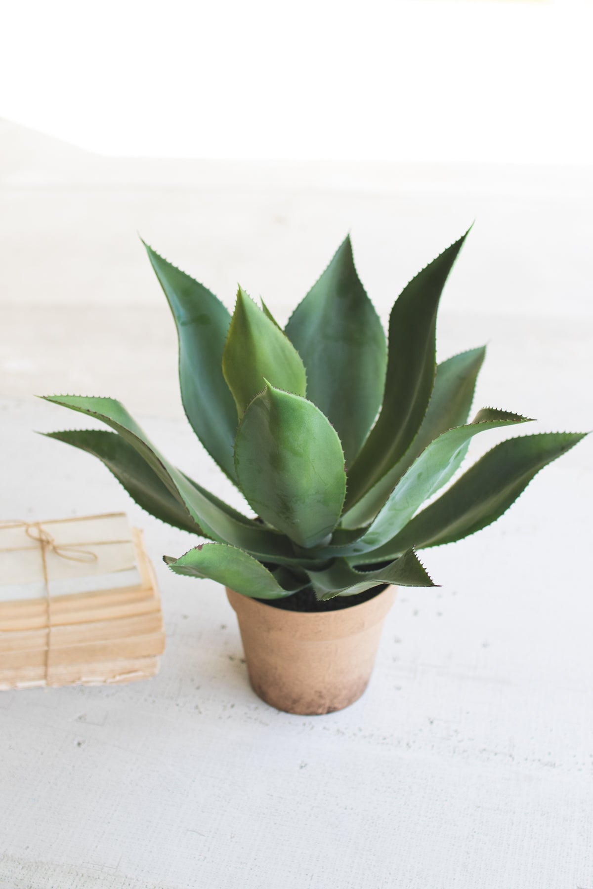 Kalalou Artificial Agave In A Painted Plastic Pot | Modishstore | Outdoor Planters, Troughs & Cachepots