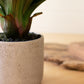 Artificial succulent plant in a ceramic pot By Kalalou-2