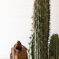 Artificial Cactus In A Black Plastic Pot With Five Stems By Kalalou | Planters, Troughs & Cachepots | Modishstore - 2