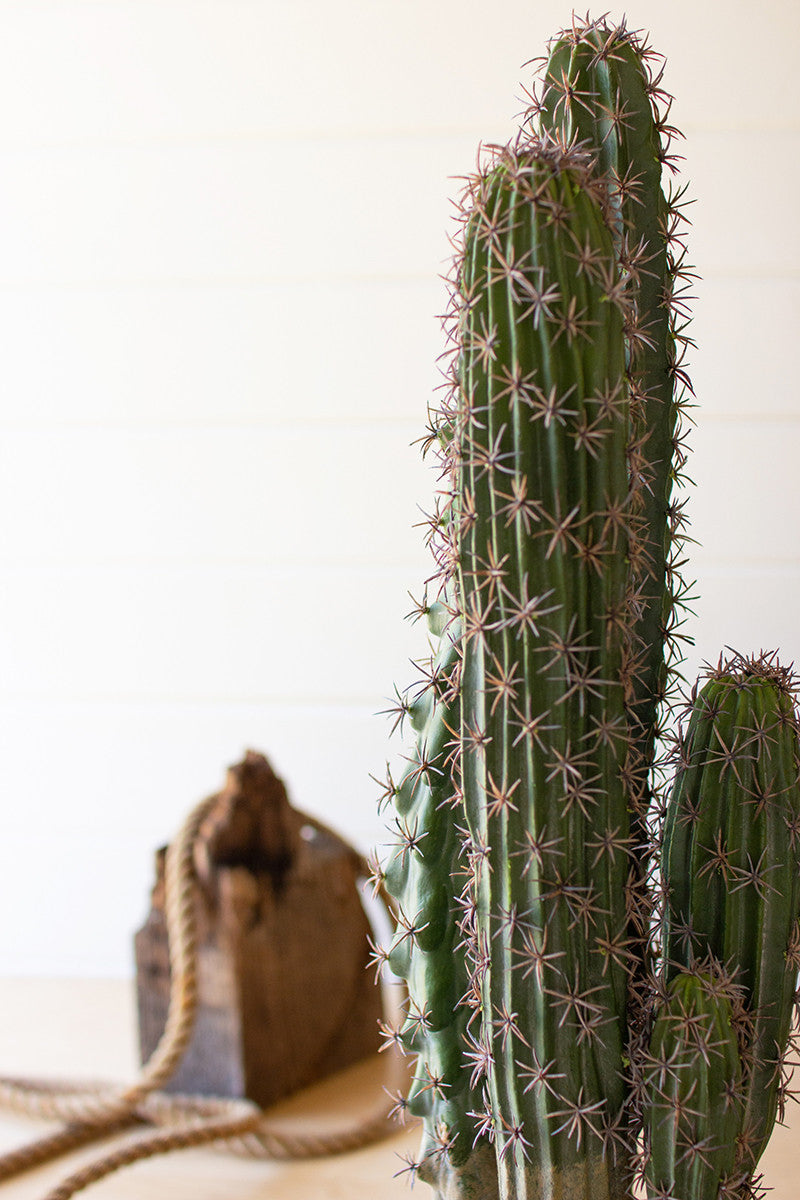 Artificial Cactus In A Black Plastic Pot With Five Stems By Kalalou | Planters, Troughs & Cachepots | Modishstore - 2