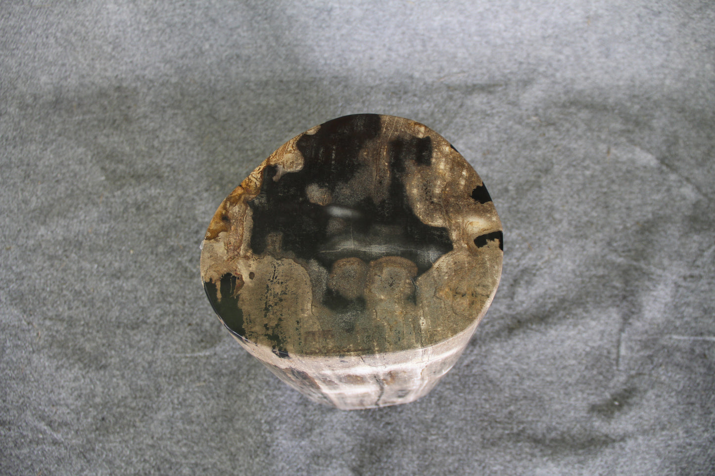 Petrified Wood Log Stool 10 in x 10 in x 16.5in (h) - DV.1.112 | Petrified Wood Stools | Modishstore-5