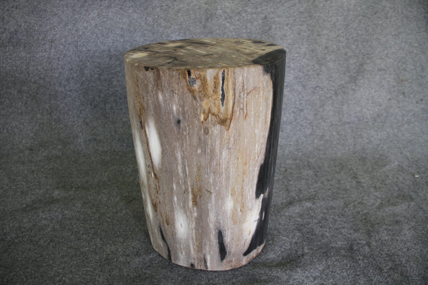 Petrified Wood Log Stool 18in (h)x 11in x 11in - DV.1.113 | Petrified Wood Stools | Modishstore-2