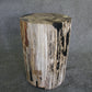 Petrified Wood Log Stool 18in (h)x 11in x 11in - DV.1.113 | Petrified Wood Stools | Modishstore-3