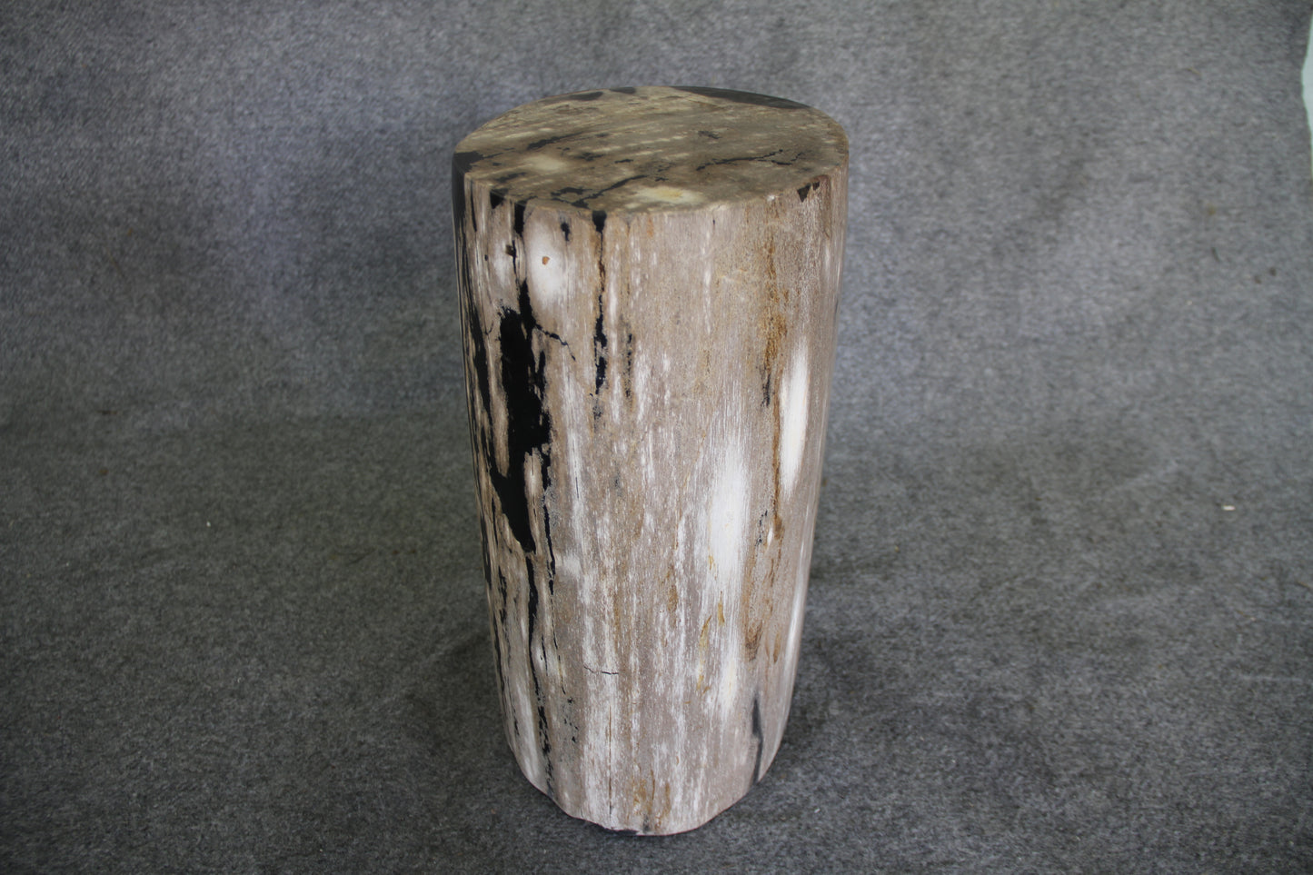 Petrified Wood Log Stool 18in (h)x 11in x 11in - DV.1.113 | Petrified Wood Stools | Modishstore-4