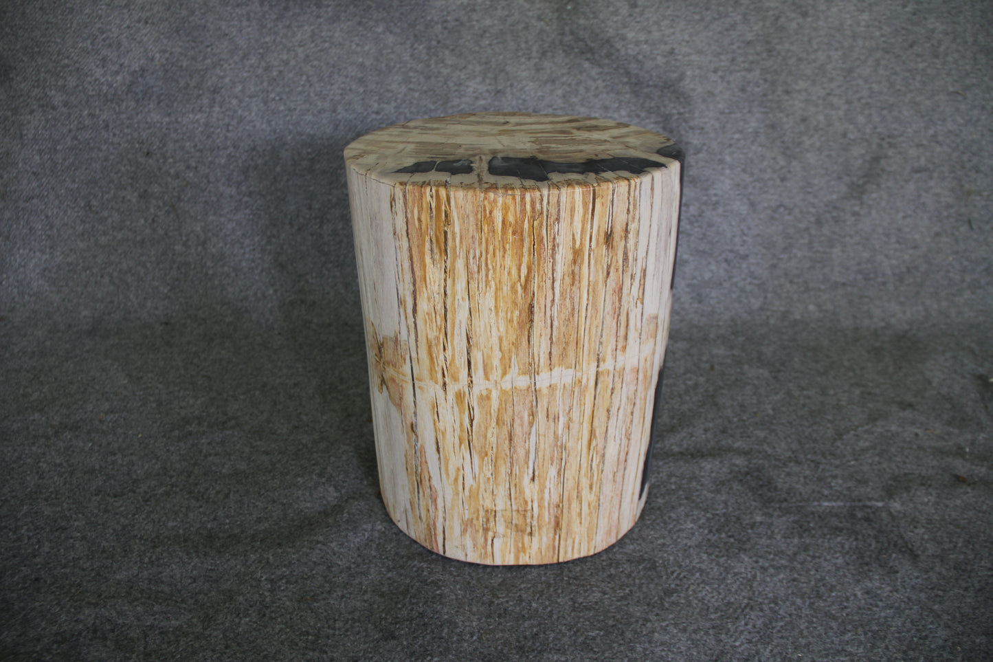Petrified Wood Log Stool 16in (h) x 13in x 11in - DV.1.175 | Petrified Wood Stools | Modishstore-2